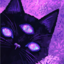 ᴛʜᴇ ᴍɪᴅɴɪɢʜᴛ ꜱᴀɴᴄᴛᴜᴍ ⋆⏾. ̊