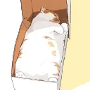 Server