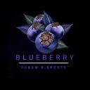 🫐 BLUEBERRY  | E-SPORTS