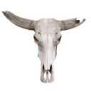 Dehydrated Africans Server Icon