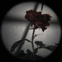 â˜  - sucker punch - â˜ 