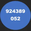 924389052