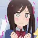 Tanuki Army Discord Server Icon