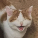 Discovery icon for Roblox Hangout™ Discord server