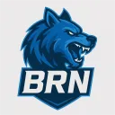 BaranPM Icon