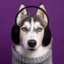 NEVASKA GANG