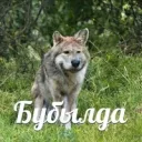 бубылда