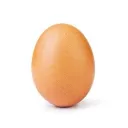 The Egg