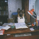 rodzina zastępcza aspazji