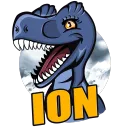 ION Servers