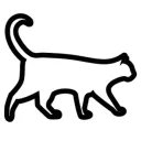 Koty