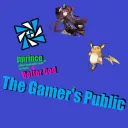 The Gamer's Public