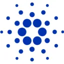 CARDANEWS