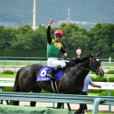 ウマ娘 競馬総合