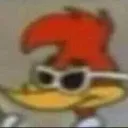 pica pau de oculos