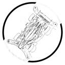 Worldwide Mini 4WD community Discord Server Icon