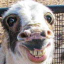 JUNGLEmens Server Icon