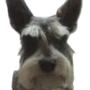 kencord v2