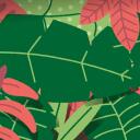 Jungle Discord Server Icon