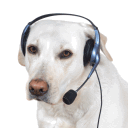 GamerDog's Pear