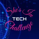 She's In TECH Challenge's server