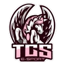 PUBG AMERICAS SCRIMS