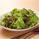 レナイジヨフキタバイルレタスのキャベツパーティー