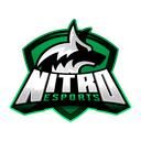 NITRO ESPORTS ®  Discord Server Icon