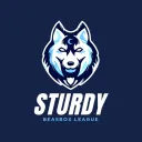 We Always Sturdy Academy