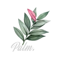 Palm.