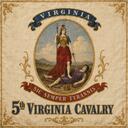 The 5th Virginia Cavalry Discord Server Icon