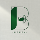 BLOSSOM | 마인크래프트&디자인 서버