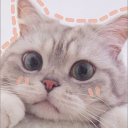 ðŸ§ð“’ð“ªð“½ ð“ð“µð“µð“²ð“ªð“·ð“¬ð“®ðŸ¬ Server Icon