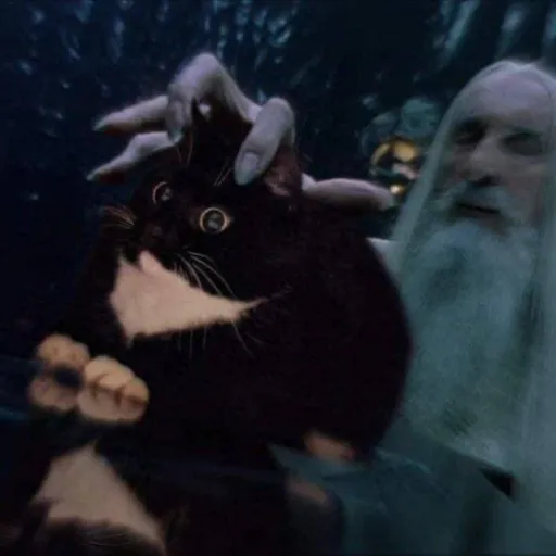 ЧВК НОШАДЫРЬ — мониторинг Discord сервера, статистика и рейтинг