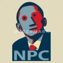 N P C Community