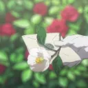 ʚ🍓ഒStrawberry Takaﾐ ⋈˚₊