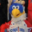 Capitals Hockey Twitter