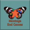 Montage End Games