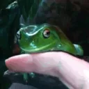 Béka Béla