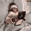 .insomniac discord icon