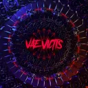 Vae Victis