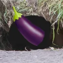 LA TANA DEI MINCHIONI