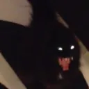 AAAAAAA