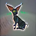 The Black Cat