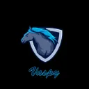 Vaspy Discord