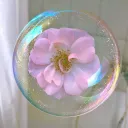 Bubble™