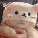 ﹕・tiny's furries﹒★
