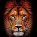 Keep'n It Simple Trading