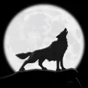 CONQR's icon