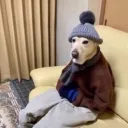 nini